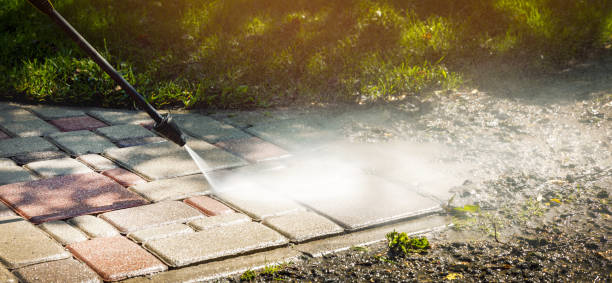 Animal Enclosure Cleaning in Myrtletown, CA